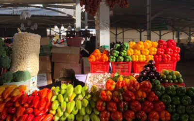 La Importancia De Comer Productos Orgánicos